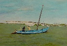 Albufera V